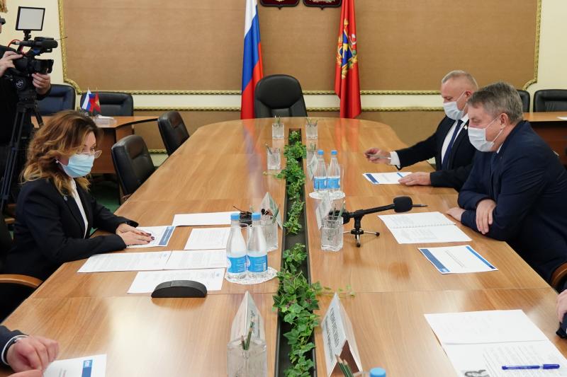 Губернатору Брянской области представили результаты деятельности гарантирующего поставщика электроэнергии